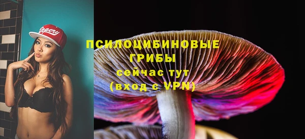 круглые Алексеевка