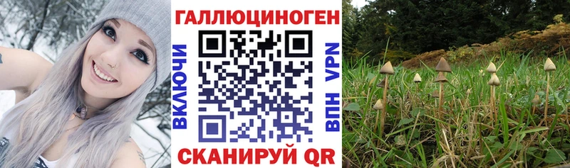 Галлюциногенные грибы ЛСД Ужур